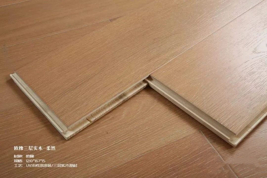 微信圖片_20210731181313.jpg 微信圖片_20210731181313.jpg