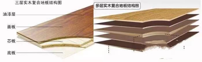 微信圖片_20210731181304.jpg 微信圖片_20210731181304.jpg