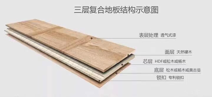 微信圖片_20210731181257.jpg 微信圖片_20210731181257.jpg