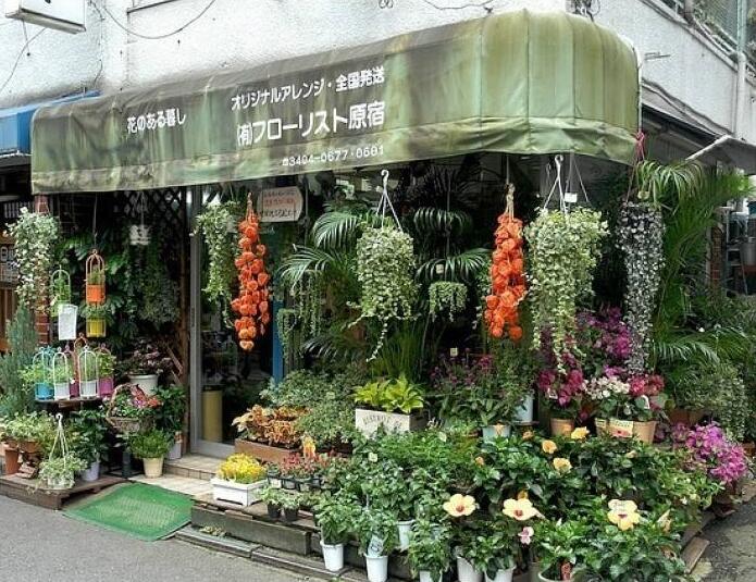 90后美女在閣樓開(kāi)店鋪！房間太破，奇思妙想用各種植物來(lái)掩蓋