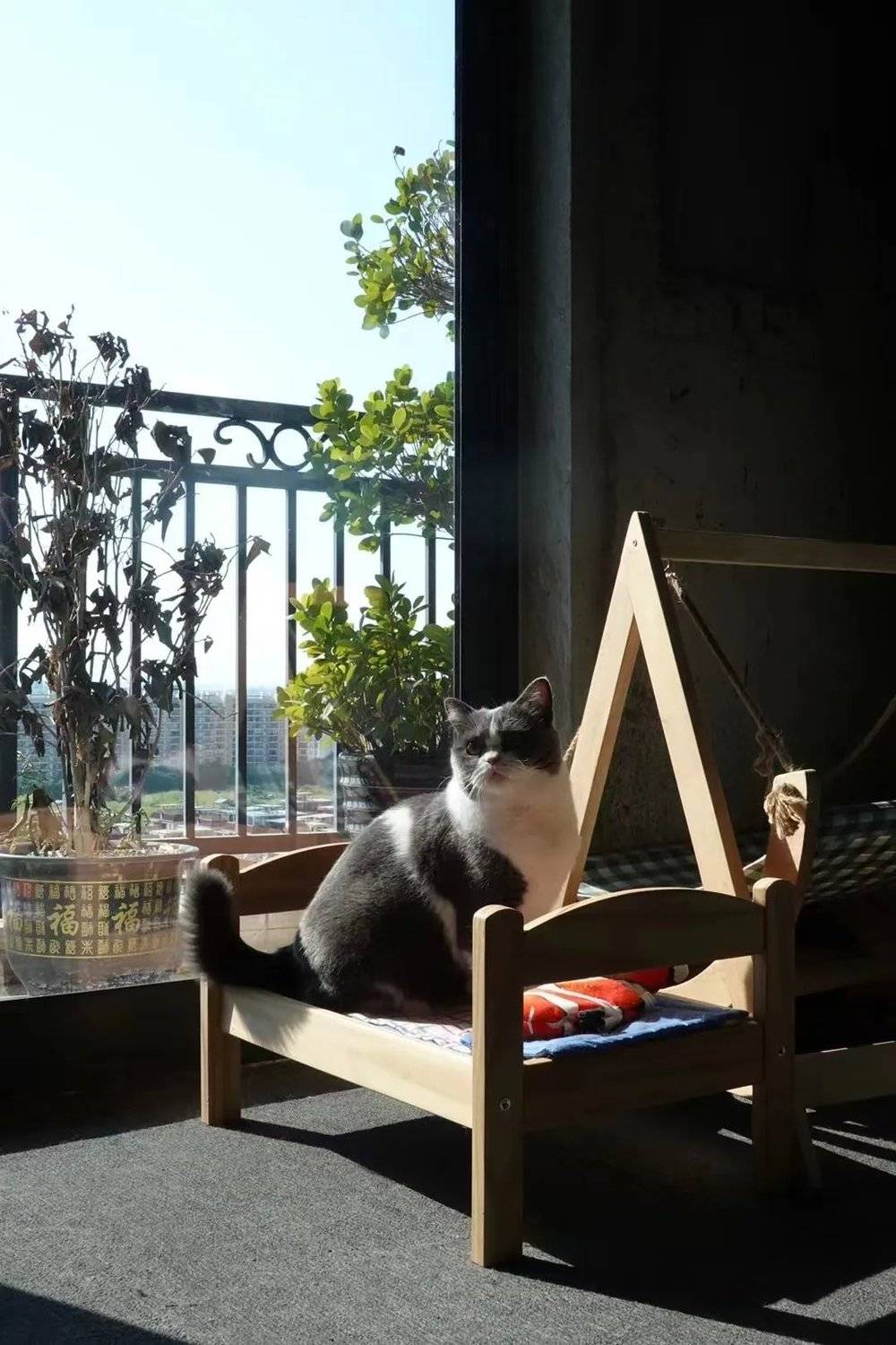 我為什么住進(jìn)毛坯房？