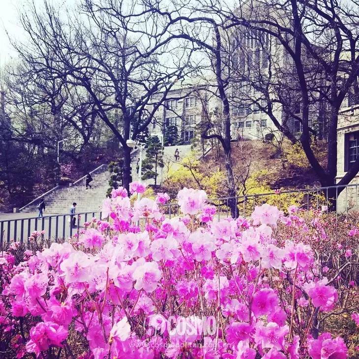 圖滿多裝修效果圖童裝店_內衣店裝修圖_烘培店裝修cad圖