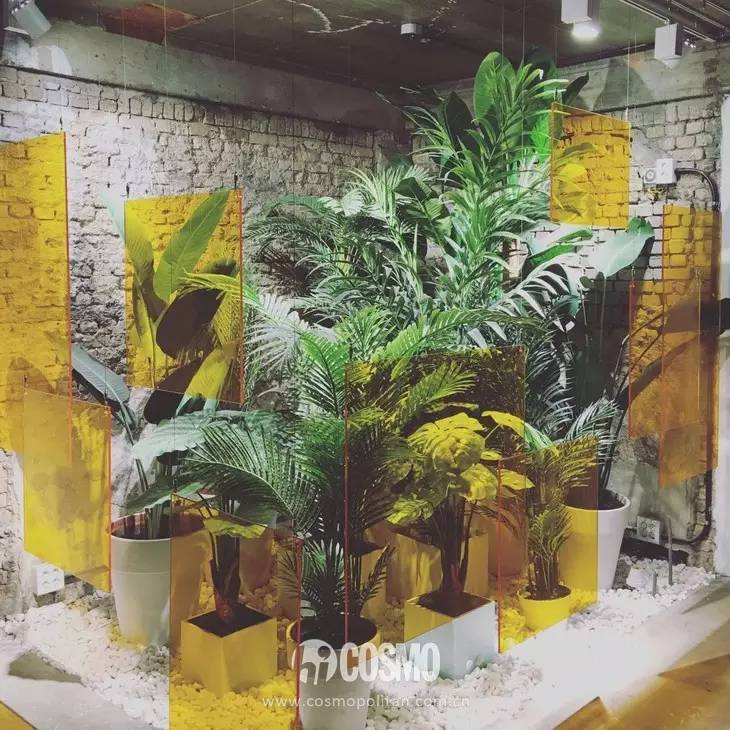 內衣店裝修圖_圖滿多裝修效果圖童裝店_烘培店裝修cad圖