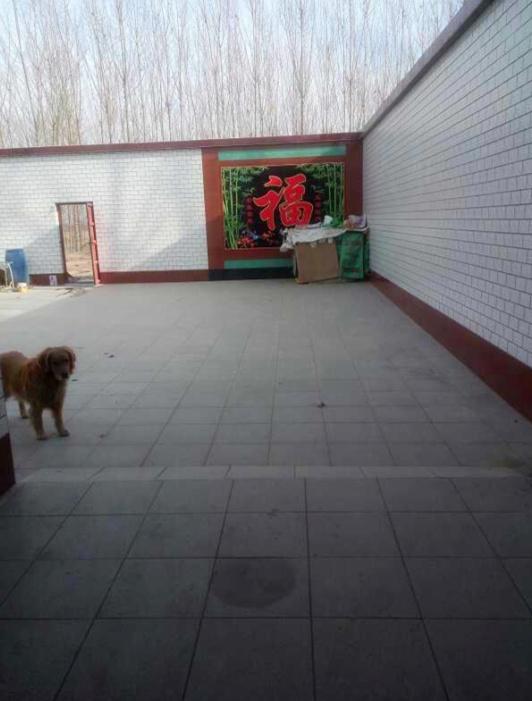 曬曬我的農(nóng)村婚房，占地面積600平，廚房超級大，臥室誰見過？