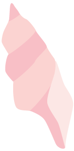 3室1廳1廚1衛(wèi)裝修效果圖_3室2廳1衛(wèi)戶型圖裝修_實驗室裝修