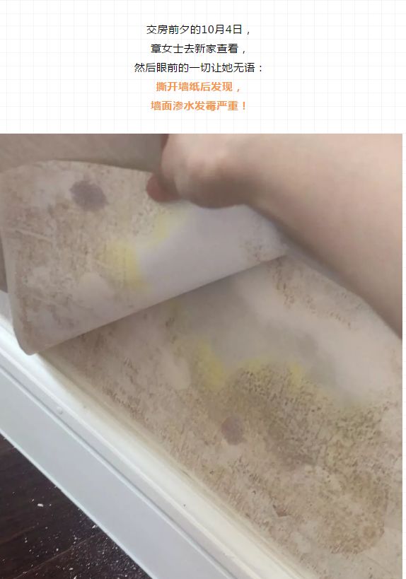 溫州裝修市場_溫州裝修_溫州裝修報(bào)價(jià)